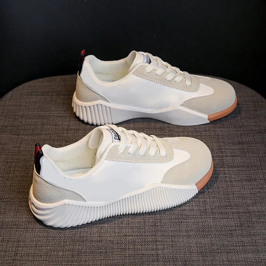 💥LUNETA I KAŽDODENNÍ PODPORA TORNACIPŐ