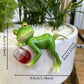 🐸 Žába Závěs na květináč Ornament🍷
