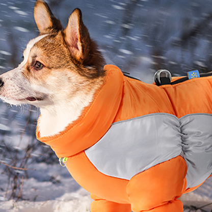Reflective, waterproof, insulated coat for small dogs 🐾